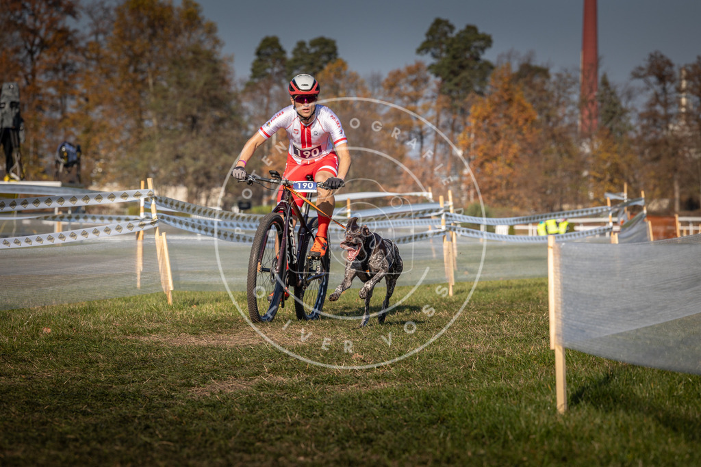 CaniXpix_0L8A5952 | Hundefotografie, Tierfotograf, Pfotenfotografie, Fotoshooting Hund, Hunde Portrait, Hundesport, Hundeportraits, Heideshooting, Hunde, Sportfotograf, Hundefotograf, Turnierhundsport, THS,  - Realisiert mit Pictrs.com