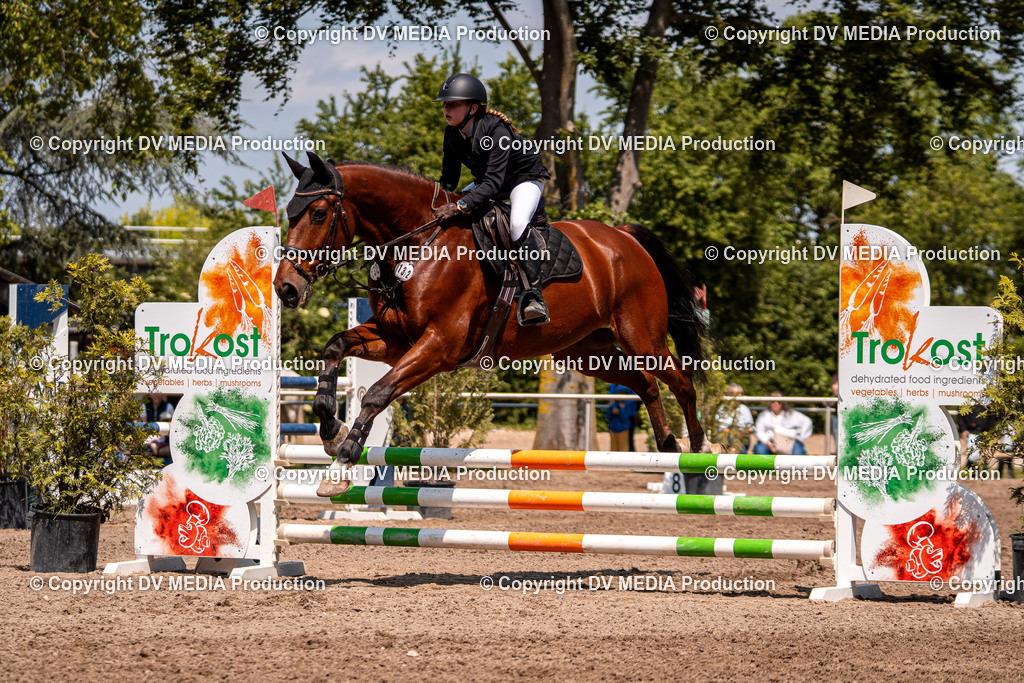 Eppelheim Tag 3-413 | dv-media-shop - Realisiert mit Pictrs.com