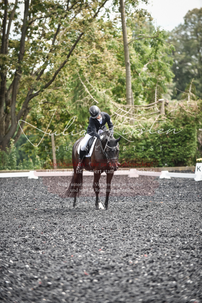 DSC_5080 | Pferde- und Turnierfotografie in Westsachsen. Pferdeportraits, Auftragszeichnungen und intuitive Kunst.