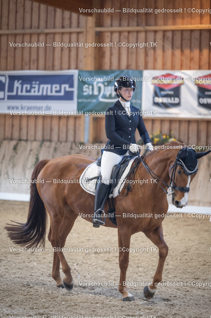 _D5A4907 | Emotionale Pferde- & People-Fotografie rund um Heidelberg, Leimen & Umgebung. Natürliche Fotos von Pferd, Mensch & Familie. Jetzt Termin sichern!