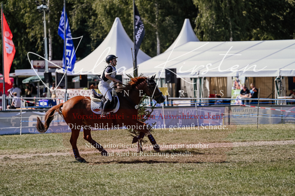 DSC_1904 | Pferde- und Turnierfotografie in Westsachsen. Pferdeportraits, Auftragszeichnungen und intuitive Kunst.