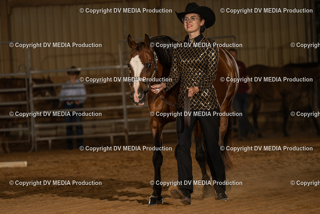 NID02372 | dv-media-shop - Realisiert mit Pictrs.com