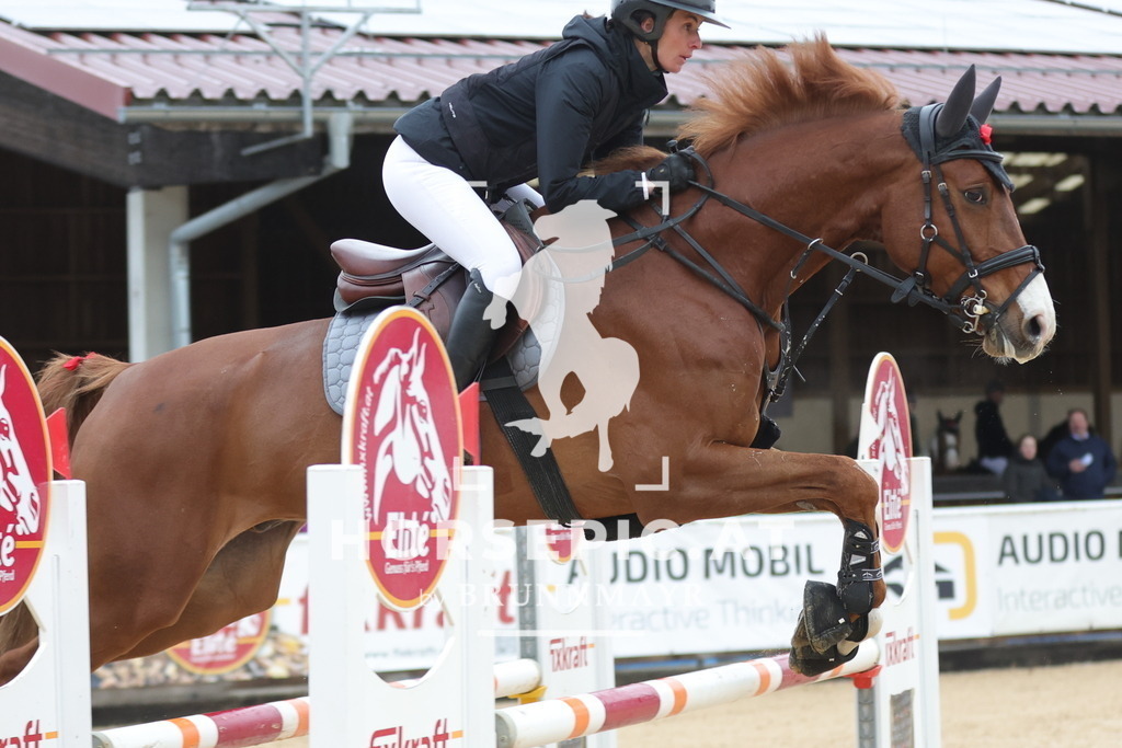 0P6A6654 | Willkommen bei Brunnmayr - Design & Fotografie – Ihrem Spezialisten für Reitturniere und Pferdeveranstaltungen in Oberösterreich, Salzburg und Bayern! Seit über 17 Jahren sind wir leidenschaftlich dabei.