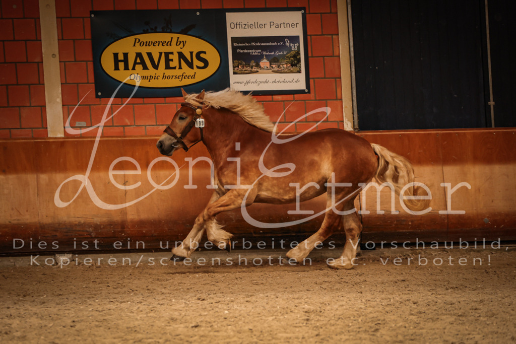 SaFL00411 | Leoni Ertmer Photography - Realisiert mit Pictrs.com