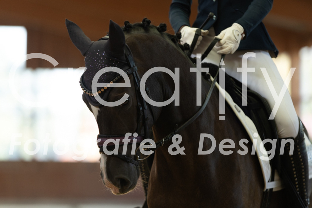 IMG_8342 | Creatify Fotografie