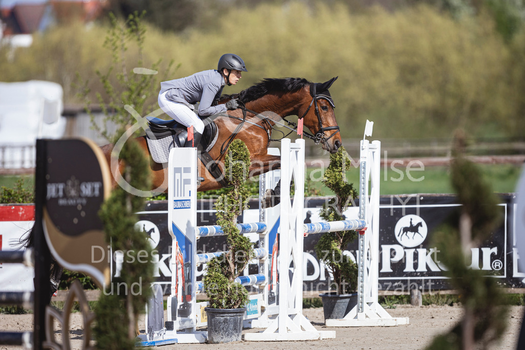 250419_Frühlingsfest_Stil-L-633 | Deine schönsten Turniermomente als professionelle Fotos! Entdecke hochwertige Pferdesport-Fotografie im Online-Shop. Jetzt Fotos finden & bestellen!