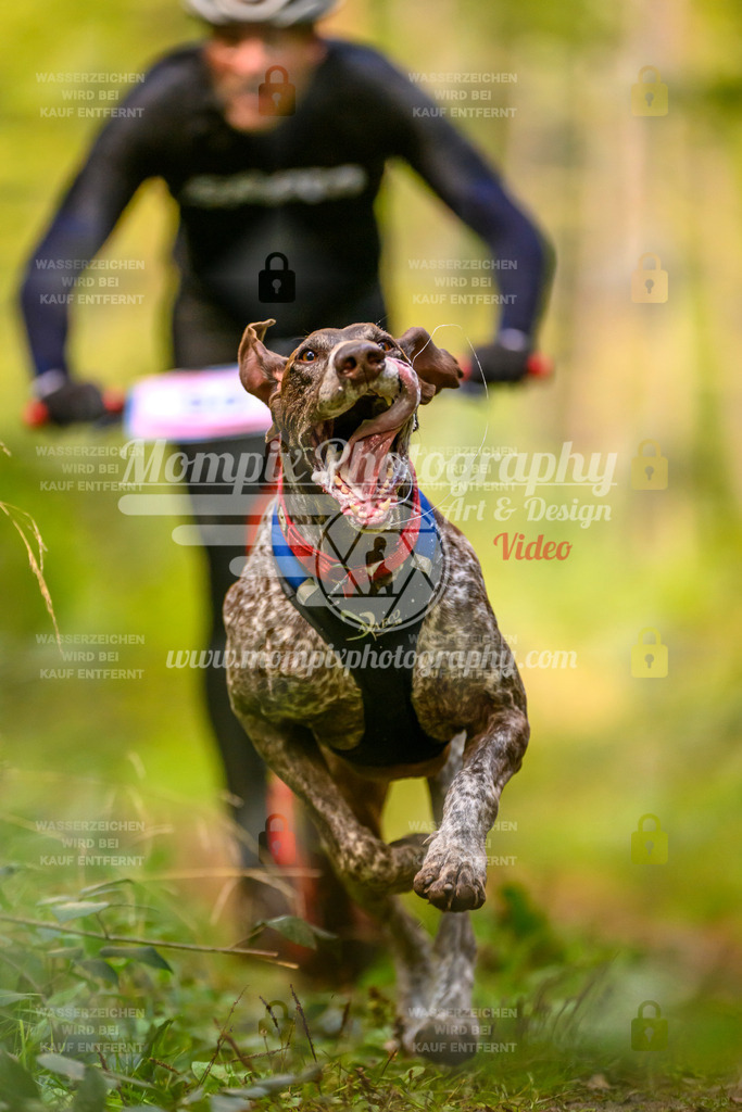 MompixPhotography_Yens2025_B2-43 | PayLife