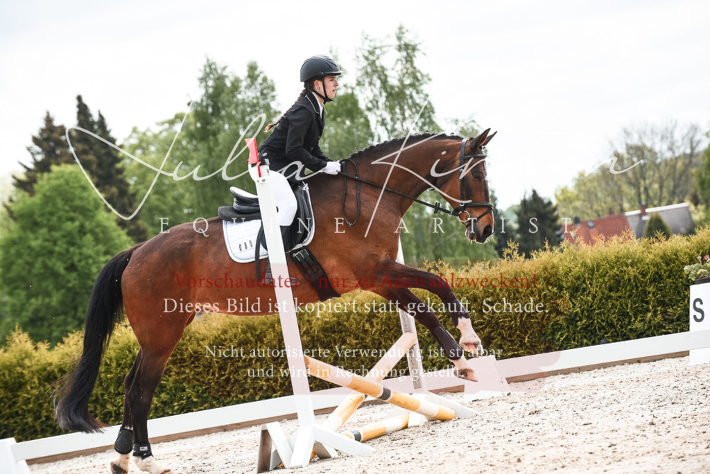 20230518_JK-Röhrsdorf-10-200 | Pferde- und Turnierfotografie in Westsachsen. Pferdeportraits, Auftragszeichnungen und intuitive Kunst.