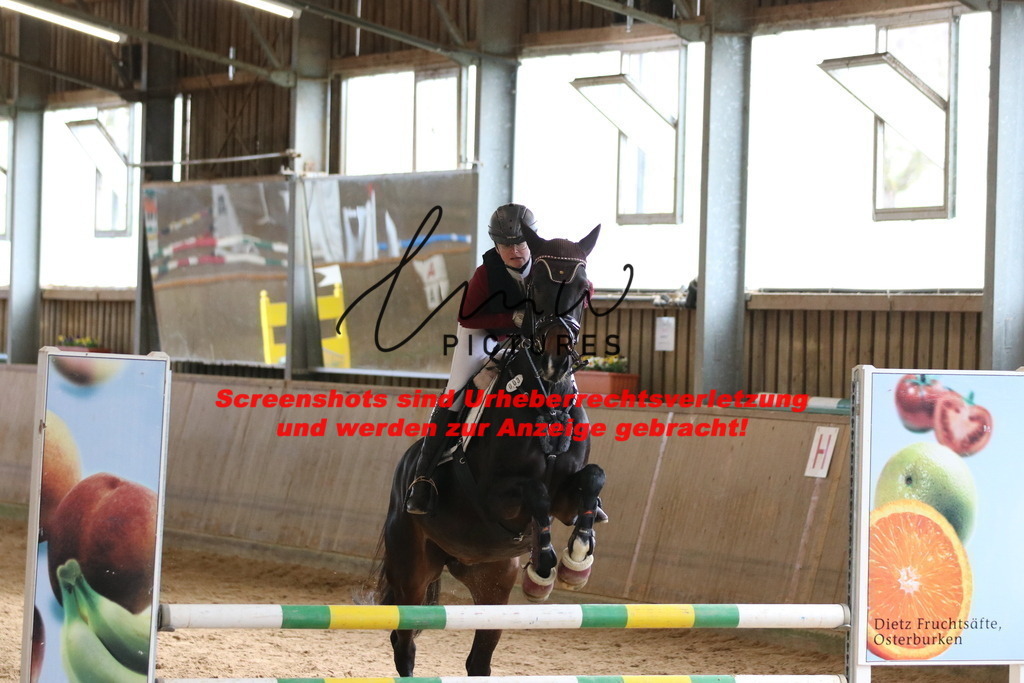 IMG_5345 | lmwpictures - Realisiert mit Pictrs.com