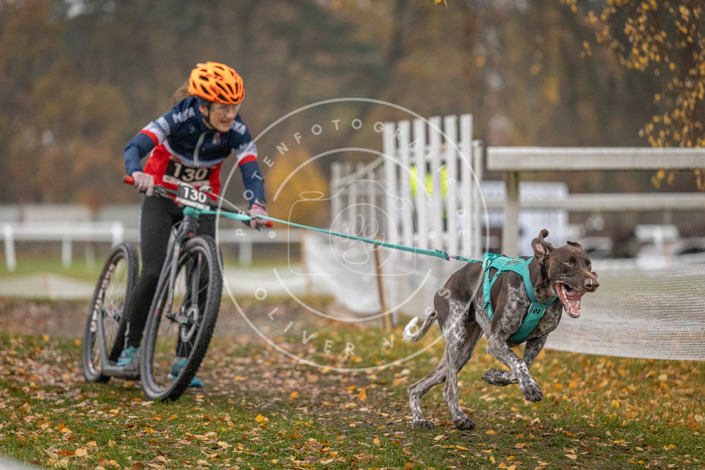 CaniXpix_DV3A7393 | Hundefotografie, Tierfotograf, Pfotenfotografie, Fotoshooting Hund, Hunde Portrait, Hundesport, Hundeportraits, Heideshooting, Hunde, Sportfotograf, Hundefotograf, Turnierhundsport, THS,  - Realisiert mit Pictrs.com
