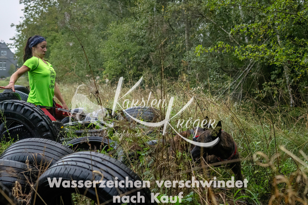 0844_ZZ90230-Bearbeitet | kk-dogfotos