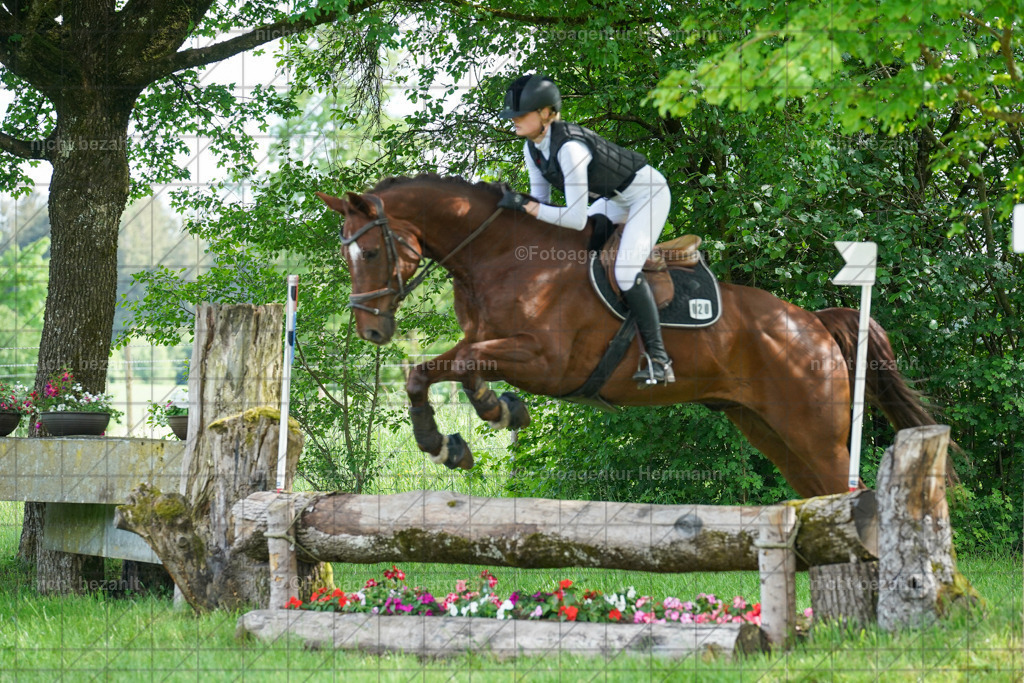 20240518-FAH04079 | Turnierbilder von Niederseon, Turnierfotografen Bayern, Fotoagentur Herrmann, Geländebilder, Reitsportfotografie