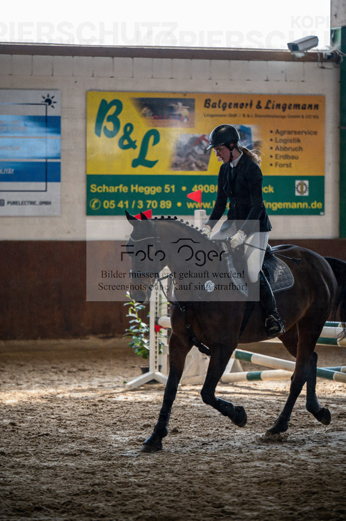 Hallenreittunier Voxtrup 2023 | Entdecke hochwertige Reitturnierfotos von Foto Oger. Professionell, emotional und authentisch – jetzt Lieblingsmomente im Shop bestellen.Deutschlandweite Turnierfotografie. - Realisiert mit Pictrs.com