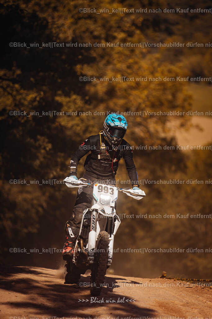 E68A7771 | blick_win_kel