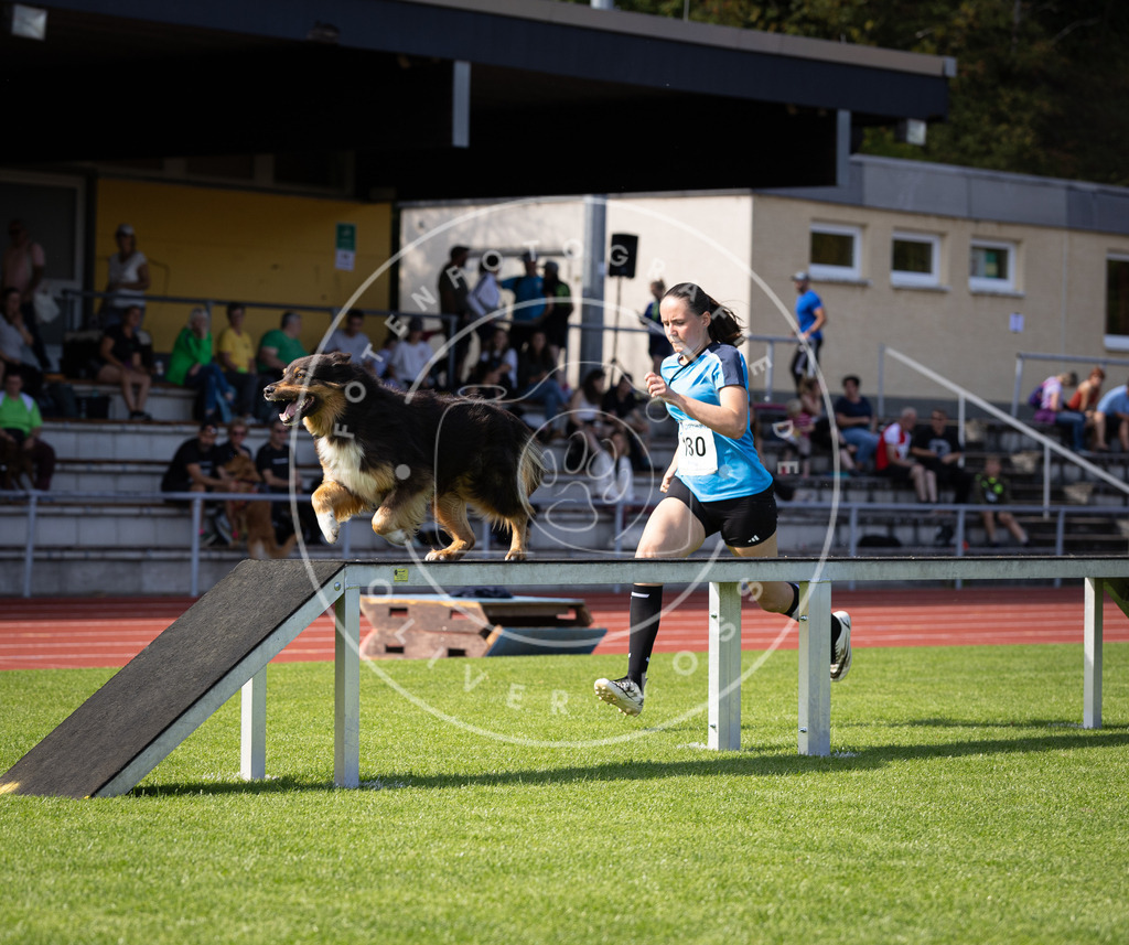 Pfotenfotografie_DV3A0263 | Hundefotografie, Tierfotograf, Pfotenfotografie, Fotoshooting Hund, Hunde Portrait, Hundesport, Hundeportraits, Heideshooting, Hunde, Sportfotograf, Hundefotograf, Turnierhundsport, THS,  - Realisiert mit Pictrs.com