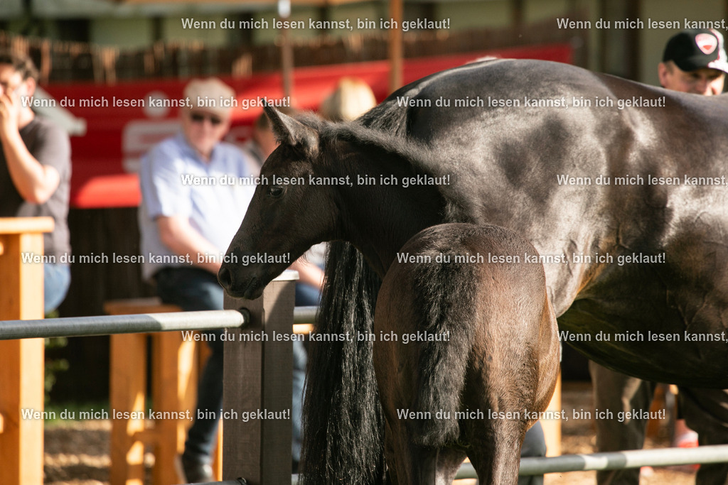 598A7240 | photographylinaismer - Realisiert mit Pictrs.com