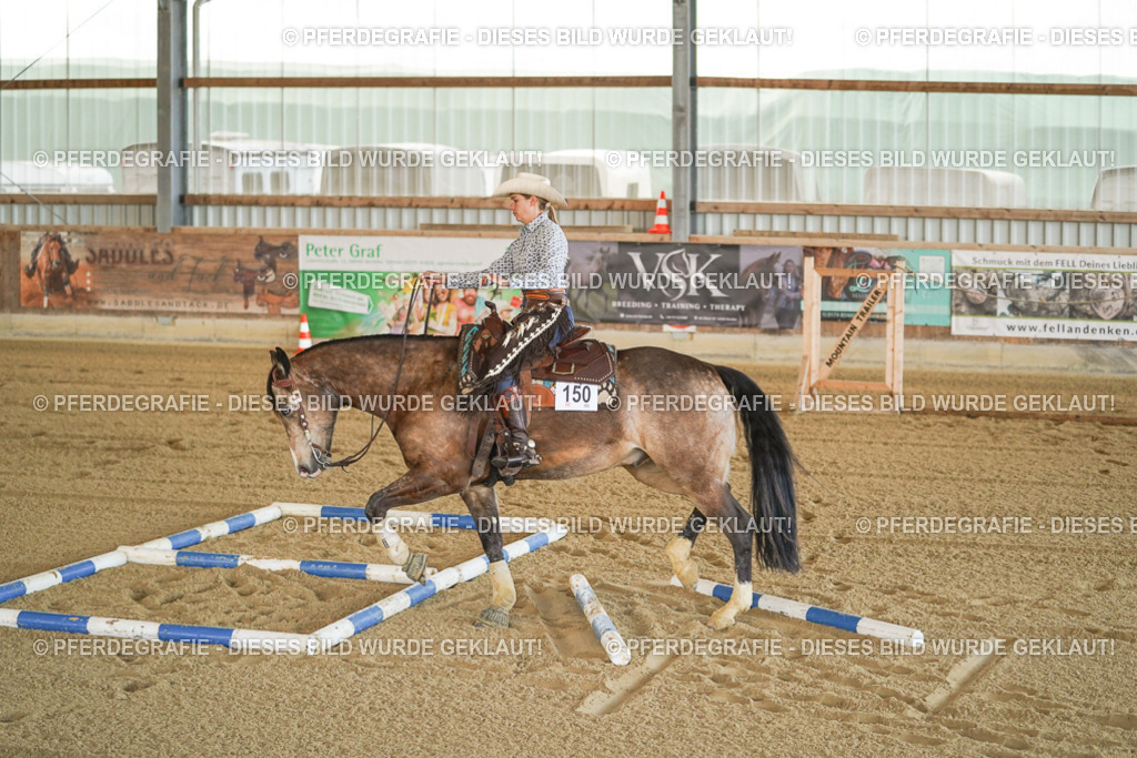 DSC00124 | Pferdegrafie