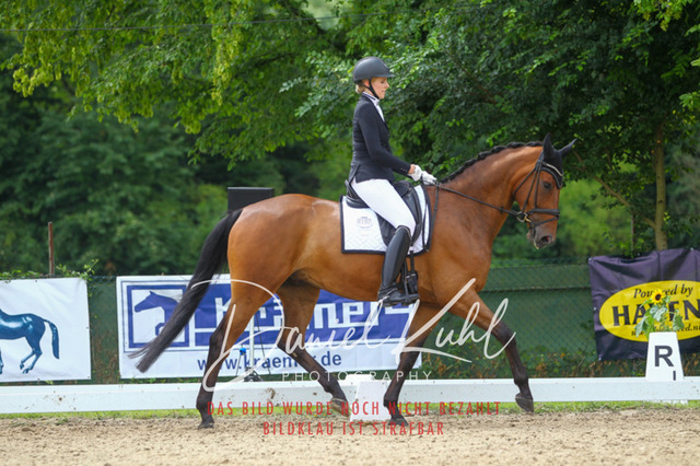 DKP40539 | Turniersportfotografie; Pferdefotografie; Dressurfotografie