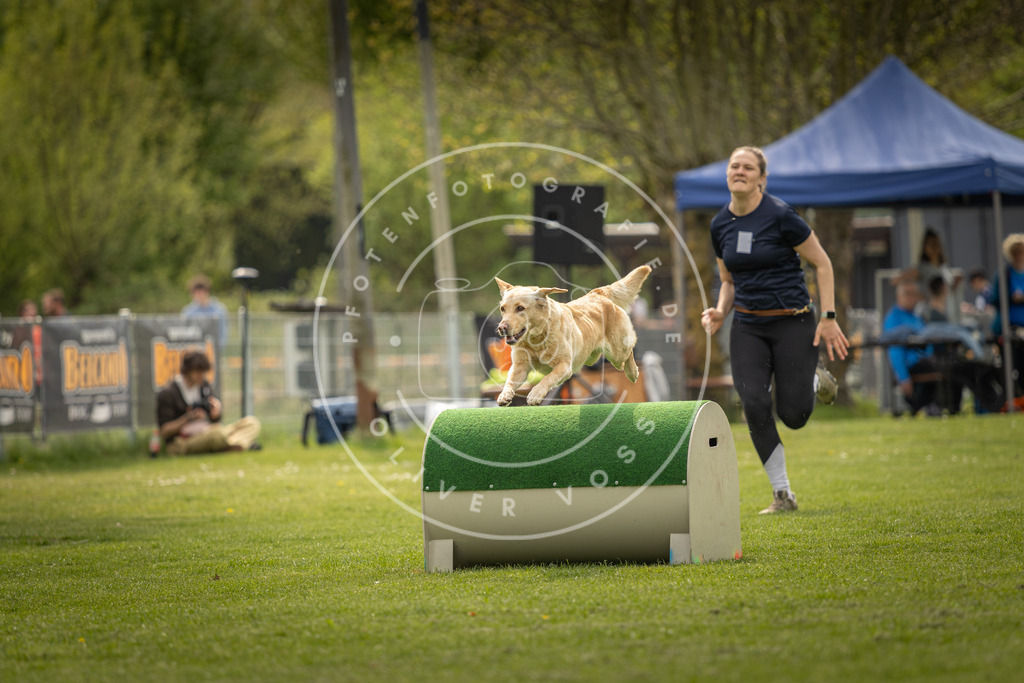 Pfotenfotografie_DV3A6425 | Hundefotografie, Tierfotograf, Pfotenfotografie, Fotoshooting Hund, Hunde Portrait, Hundesport, Hundeportraits, Heideshooting, Hunde, Sportfotograf, Hundefotograf, Turnierhundsport, THS,  - Realisiert mit Pictrs.com