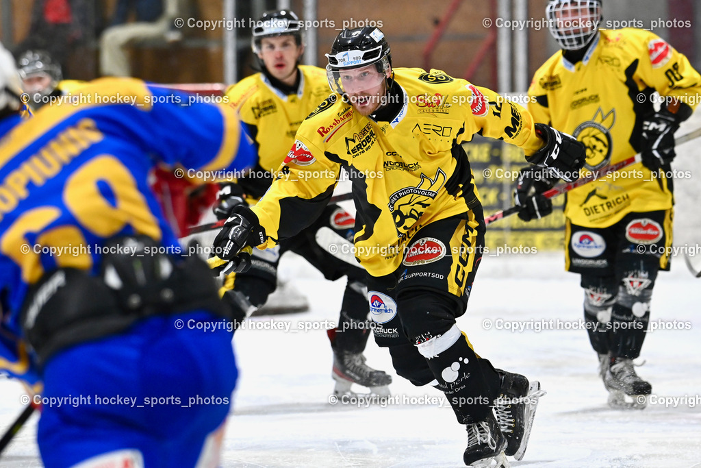 EC MET PHOTOVOLTAIK HORNETS SPITTAL vs. EHC Althofen  | #12 Glavic Gasper EC Hornets Spittal, EC MET PHOTOVOLTAIK HORNETS SPITTAL vs. EHC Althofen , EC MET PHOTOVOLTAIK HORNETS SPITTAL vs. EHC Althofen  am 25.01.2025 in Villach (Stadthalle Villach), Austria, (Photo by Bernd Stefan)