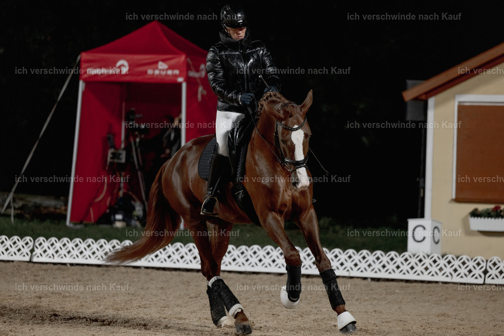 FHClassics-16 | working equitationturnier fotograf videograf stoibphotography marixx film working equitation deutschland reitsport turnierfotografie eventfotografie equestrian events