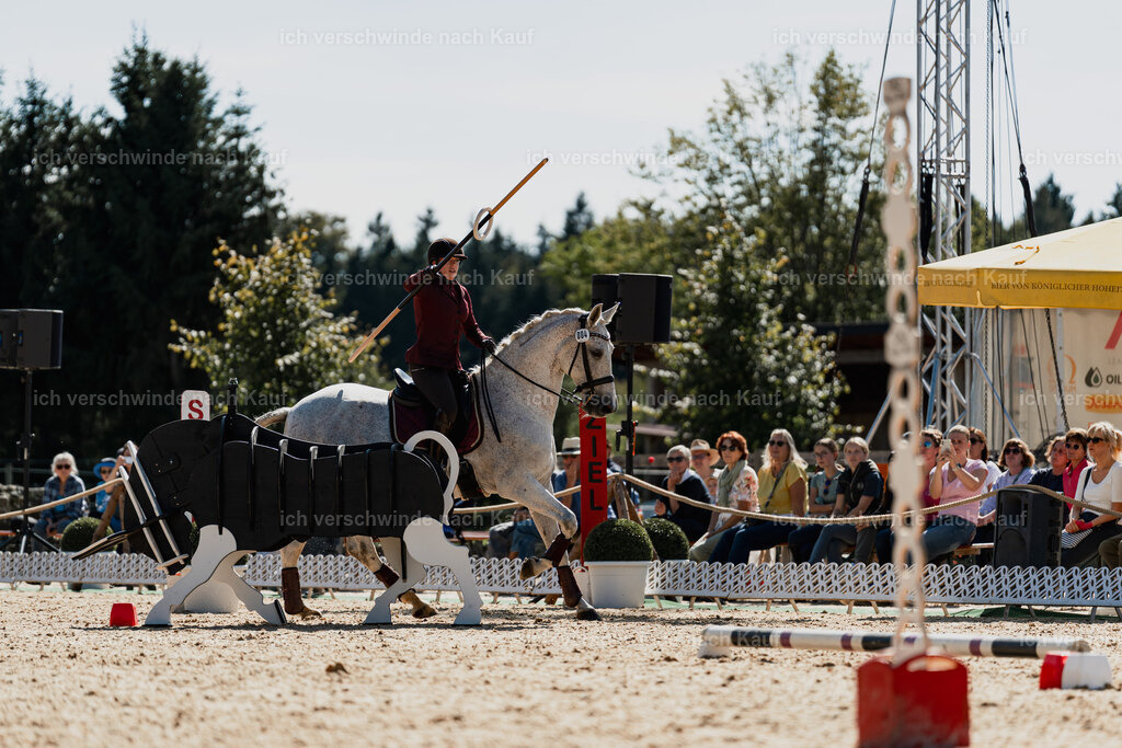 Kelly4_FHC2025-08891 | working equitationturnier fotograf videograf stoibphotography marixx film working equitation deutschland reitsport turnierfotografie eventfotografie equestrian events