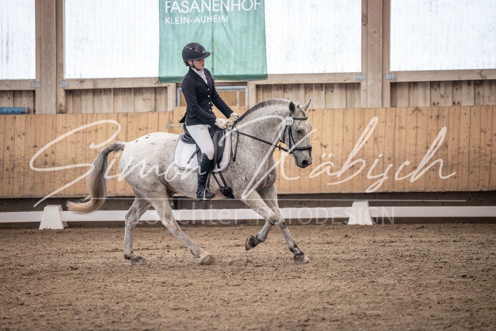 20251011-_3LI0643 | Tierfotografie Pferde, Hunde, Katzen, Haustiere.
Turnierfotografie Reitturniere, Reiten, Springreiten, Dressur in Hanau, dem Main-Kinzig-Kreis und dem Rhein-Main- Gebiet um Frankfurt
