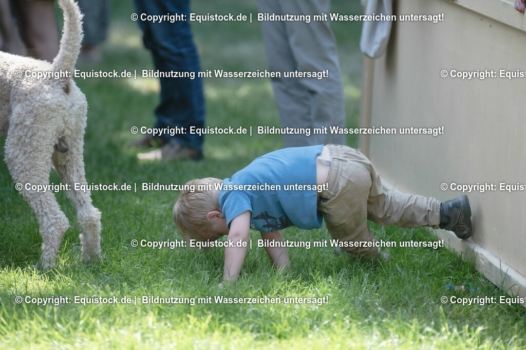 20230528_Voltigieren_NASPA_0268 | equistock