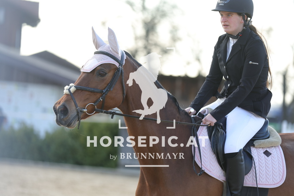 0P6A9069 | Willkommen bei Brunnmayr - Design & Fotografie – Ihrem Spezialisten für Reitturniere und Pferdeveranstaltungen in Oberösterreich, Salzburg und Bayern! Seit über 17 Jahren sind wir leidenschaftlich dabei.