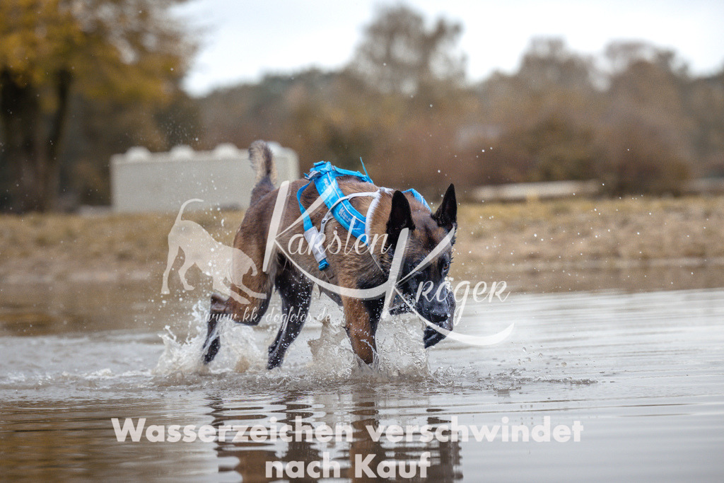 1358_ZZ95052 | kk-dogfotos