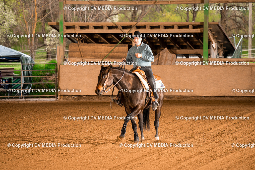 BAL00974 | dv-media-shop - Realisiert mit Pictrs.com