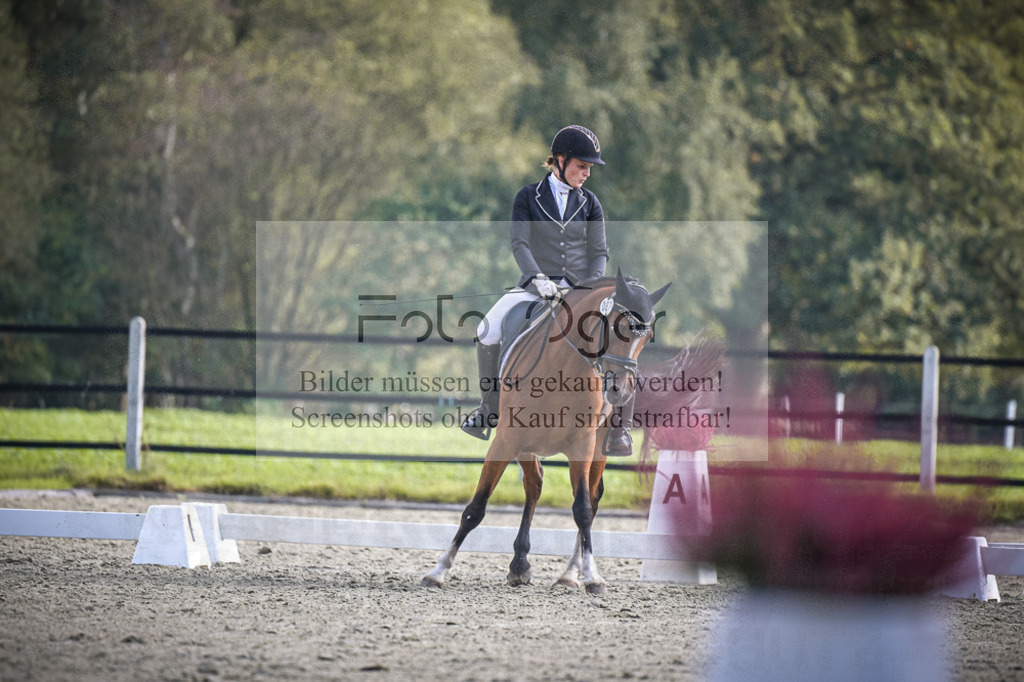 DOS_B740 | Entdecke hochwertige Reitturnierfotos von Foto Oger. Professionell, emotional und authentisch – jetzt Lieblingsmomente im Shop bestellen.Deutschlandweite Turnierfotografie. - Realisiert mit Pictrs.com