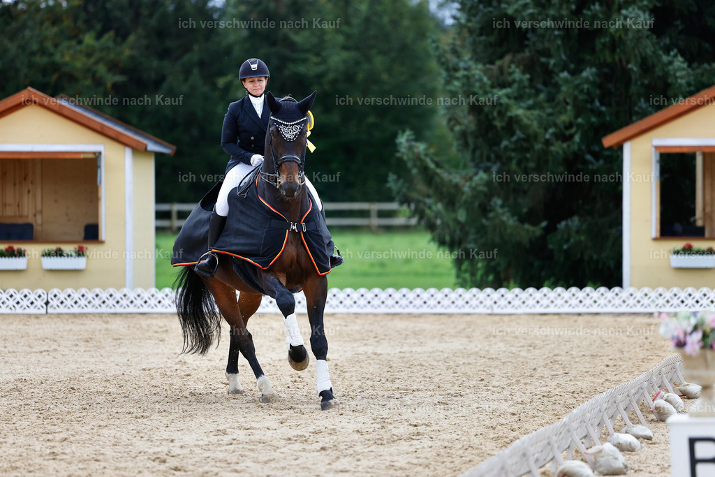 6-Siegerehrung-AMATUER-DRESSUR S_  -StoibPH-3662 | working equitationturnier fotograf videograf stoibphotography marixx film working equitation deutschland reitsport turnierfotografie eventfotografie equestrian events