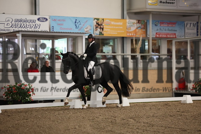 Waghäusel-Wiesental_2024_Prfg.Nr.08_1.WP_U25_Timo Kemmerer_FBW Farani (6) | Alle Fotos der Reiterjournal Fotografin Doris Matthaes im Reiterjournal Online-Fotoshop. - Realisiert mit Pictrs.com