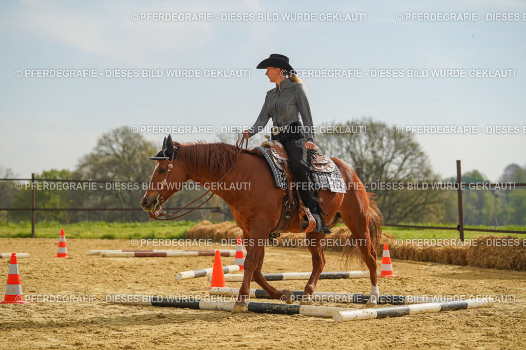 DSC01937 | Pferdegrafie