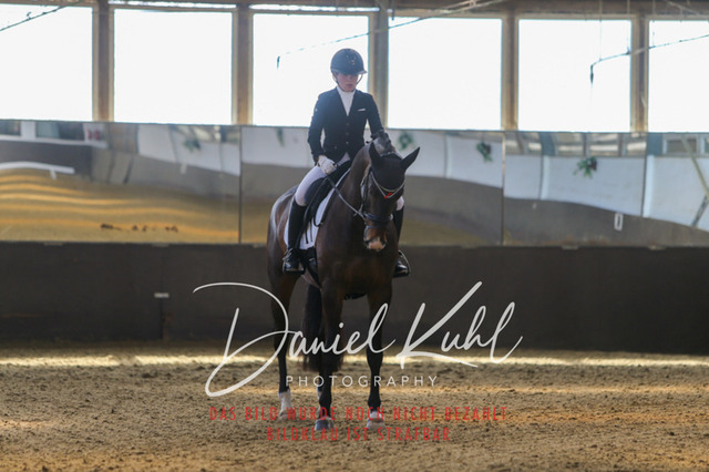 IMG_2629 | Turniersportfotografie; Pferdefotografie; Dressurfotografie