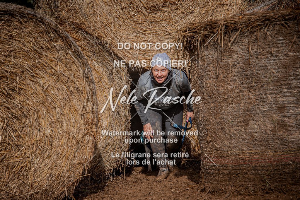 nelerasche_Hunsrück_So13-Ende_38 | nelerasche
