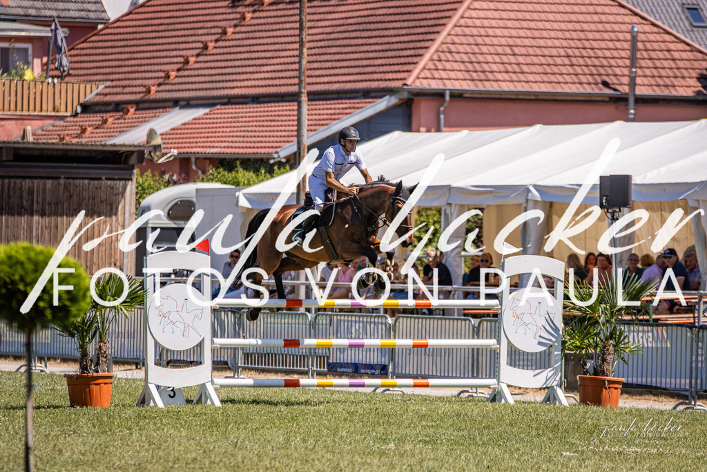 IMG_0571 | Erleben Sie dynamische Sport- und emotionale Tierfotografie in Süddeutschland mit Fotos von Paula. Spezialisiert auf Pferde- und Hundefotografie sowie Sportevents. Kontaktieren Sie mich für einzigartige und ausdrucksstarke Bilder Ihrer besonderen Momente. - Realisiert mit Pictrs.com