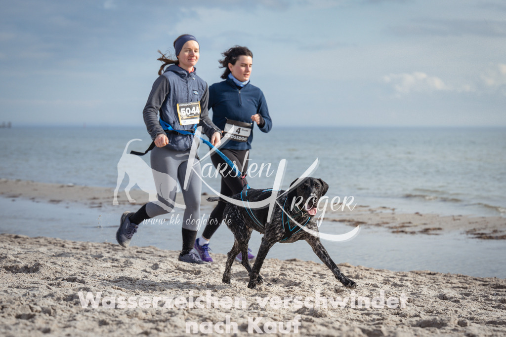 1234_ZZ97142 | kk-dogfotos