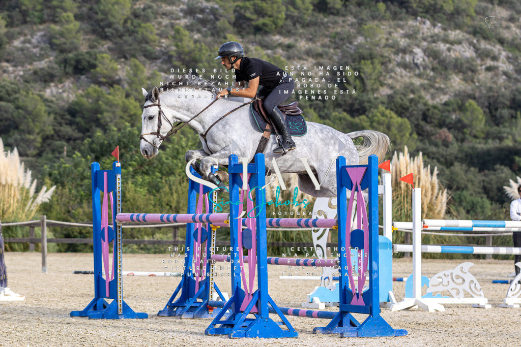 IMG_4812 | s-jay-photography - Realisiert mit Pictrs.com