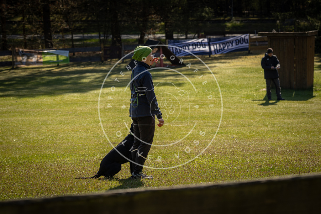 Pfotenfotografie_DV3A0345 | Hundefotografie, Tierfotograf, Pfotenfotografie, Fotoshooting Hund, Hunde Portrait, Hundesport, Hundeportraits, Heideshooting, Hunde, Sportfotograf, Hundefotograf, Turnierhundsport, THS,  - Realisiert mit Pictrs.com