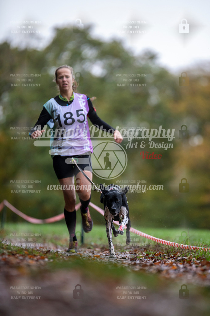 DBT_DAKM_SA_4_11_2023_Canicross-29 | PayLife