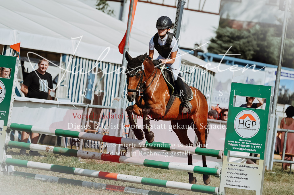 DSC_9419 | Pferde- und Turnierfotografie in Westsachsen. Pferdeportraits, Auftragszeichnungen und intuitive Kunst.