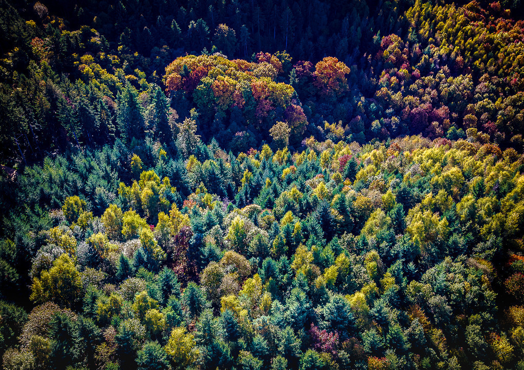 MPI_Landscape_0023 | Herbst im Bottenauer Wald - Realisiert mit Pictrs.com