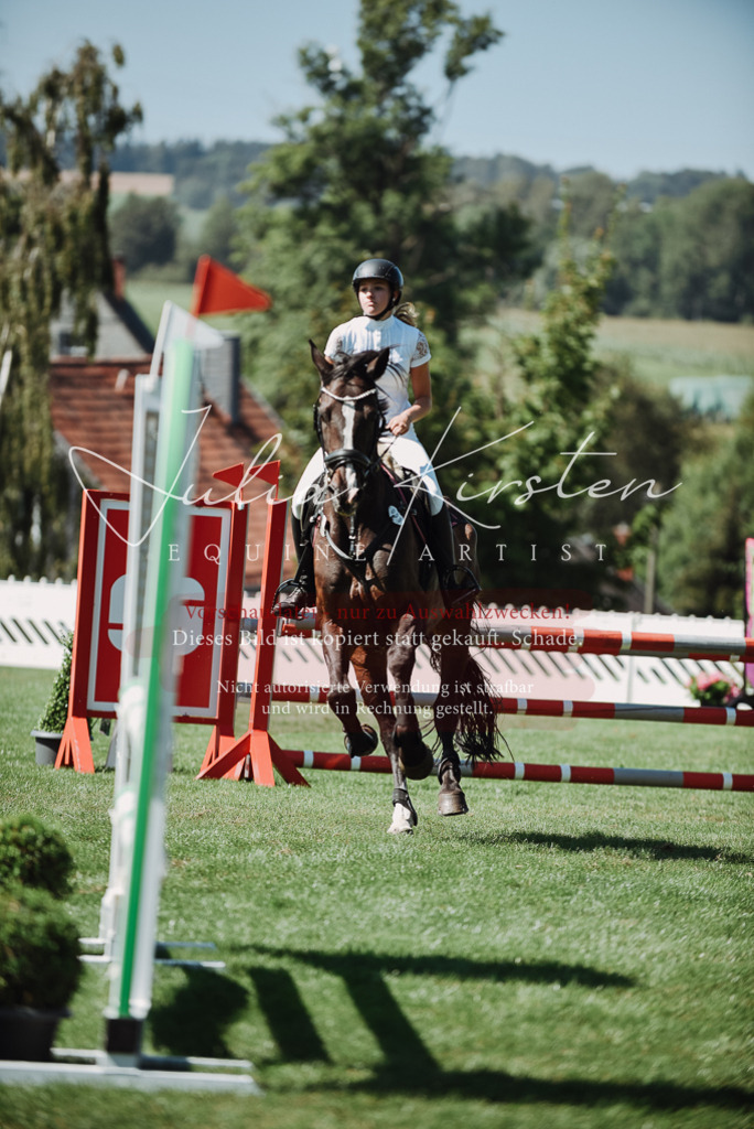 DSC_3141 | Pferde- und Turnierfotografie in Westsachsen. Pferdeportraits, Auftragszeichnungen und intuitive Kunst.