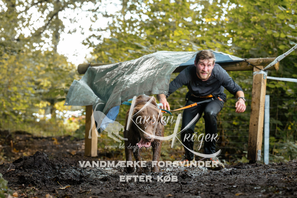 1409DZ6_1113Z6 | kk-dogfotos