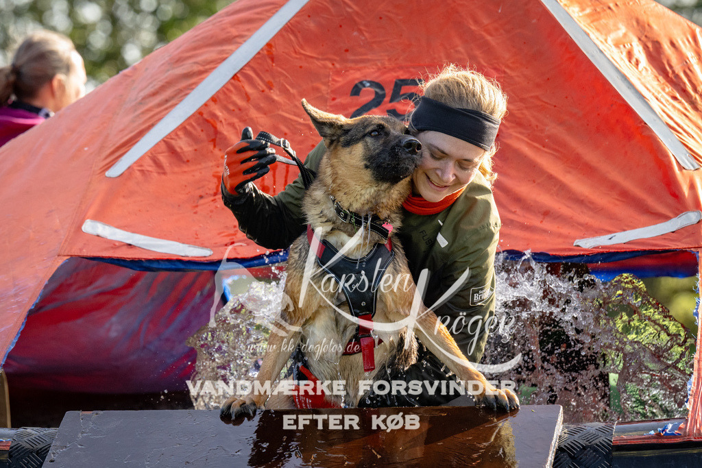1115-91938 | kk-dogfotos