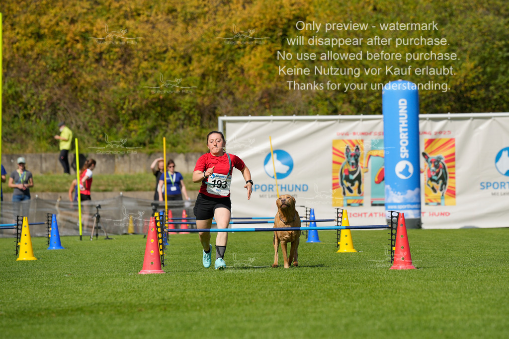 Samstag_Hürden (1462 von 1617) | stephaniefillaphotographie - Realisiert mit Pictrs.com