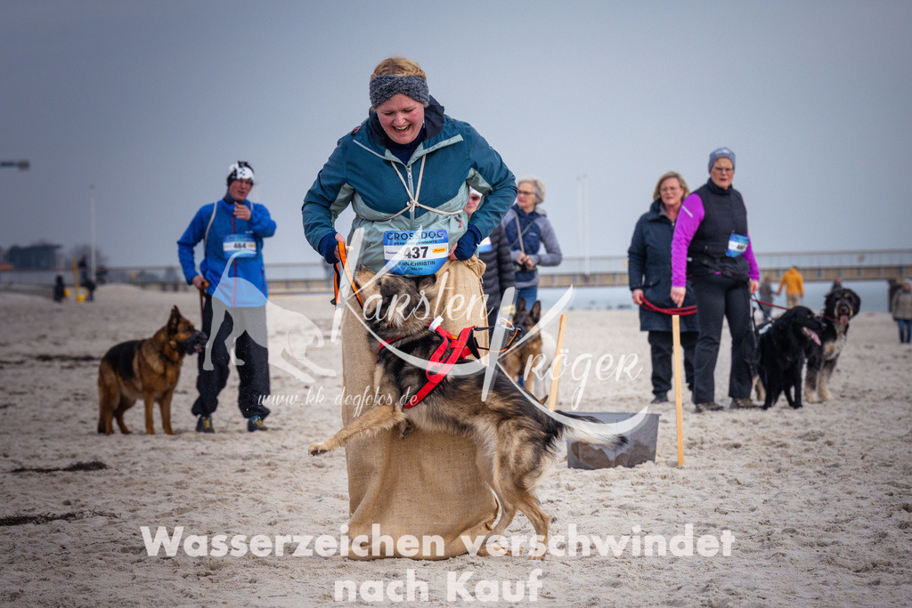 1304_ZZ98297 | kk-dogfotos