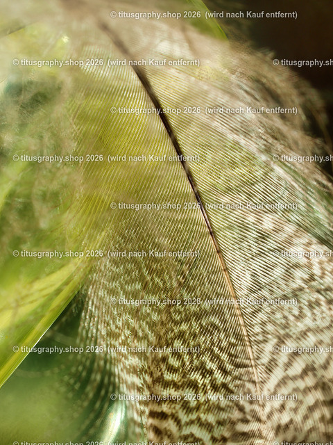 titusgraphy_P3084979-vz-ln | titusgraphy-shop: Geschenkideen mit Qualitätsfotos. titusgraphy-shop: gift ideas with quality photos. titusgraphy-shop: idées cadeaux avec photos de qualité.  - Realisiert mit Pictrs.com